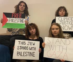 Climate activist Greta Thunberg expresses solidarity with Palestine