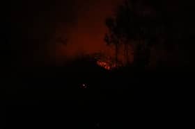 Darurat 10 hari di Kalimantan Tengah berikutan pencemaran udara teruk