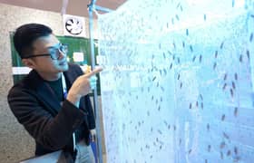 Lalat askar hitam mampu urus 15 tan sisa makanan setiap hari