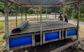 Penduduk baik pulih rumah rakit hadapi Monsun Timur Laut