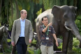 Prince William visits Singapore for Earthshot environmental prize