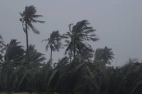 东北季风料持续至明年3月  丹登强降雨年杪扩及彭柔