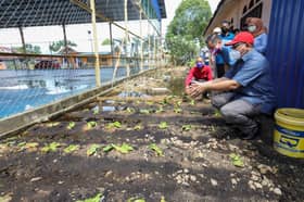 Exco: Selangor’s community gardens produce nearly 64 tonnes veges, fruits a year