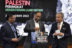 Malaysia tidak akan henti pengaruhi negara lain sokong Palestin
