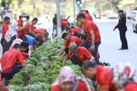 MBSA tanam 177,899 pokok pelbagai spesies sejak 2010