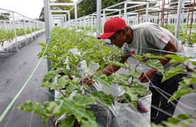 Economy Ministry welcomes state govts' land offers to expand Intan