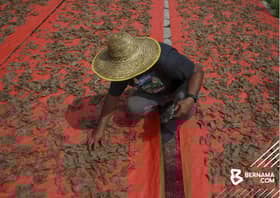 Pengusaha 'kepok' lega cuaca semakin baik di Terengganu