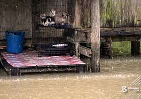 Mangsa di PPS Terengganu meningkat, Kelantan kembali banjir