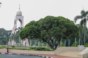 Pokok bunga tanjung saksi 45 tahun kepesatan Shah Alam
