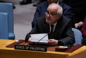 Palestine’s UN envoy welcomes Ireland, Norway, Spain’s decision to recognise Palestinian state