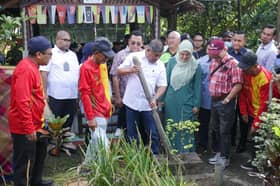 AU2 Keramat community garden features various tree types