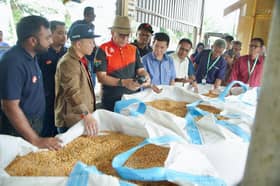 PKPS bina pusat kumpul jagung bijirin di Tanjung Sepat