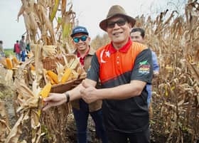 Selangor-grown corn grain highly sought-after, says PKPS
