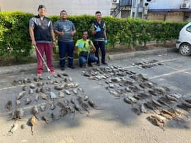 MPSepang conducts rat extermination to ensure cleanliness, curb diseases