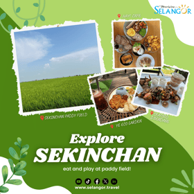 Menjelajahi Sekinchan: Makan dan bermain di sawah padi