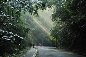 NRES to deploy 3,000 community rangers to enhance forest, wildlife protection