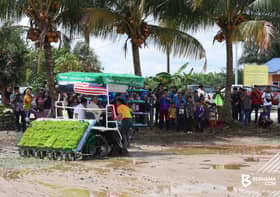 Program sawah ala Sekinchan mampu tingkat hasil padi seluruh negara