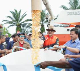 Negeri tuai 118 tan hasil pertama jagung bijirin, usaha stabilkan harga ayam