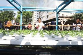 Pelajar UiTM bina taman mini hidroponik sokong pembangunan mampan