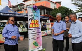Fama to boost contract farm service, curb involvement of middlemen