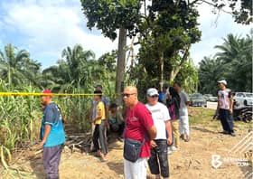 Pesawat dilihat terbang 'tidak betul', jatuh menjunam - saksi