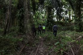 Tahanan lolos mula keluar cari makanan, 10 ditahan takat pagi ini