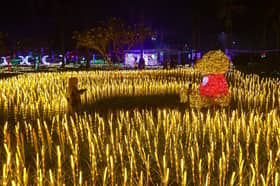 Tourism Selangor sasar seramai 1.1 juta pelancong luar negara tahun ini