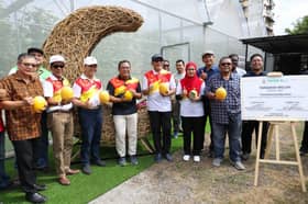 Pemilik tanah, kebun komuniti dipelawa usahakan tanaman melon hidroponik