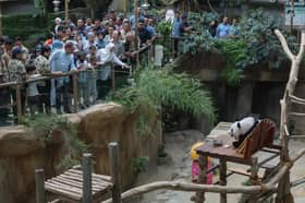 Selangor approves allocations to improve facilities at Zoo Negara