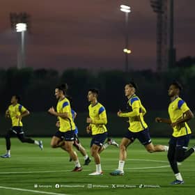 Harimau Malaya drop two spots on FIFA ranking