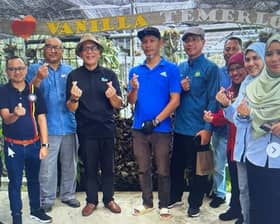 Selangor plants vanilla as yield produces good returns, guaranteed profit