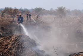 Three Selangor forest reserves hotspots for peatland fire — Bomba