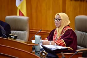 Klang pledges improvements to handling strays after royal decree