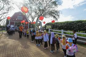 New early childhood education law to be launched — MOE