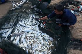 Fish price, supply under control during Ramadan, Aidilfitri
