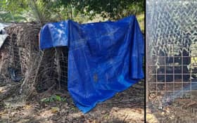 Black panther caught in Felda settlement