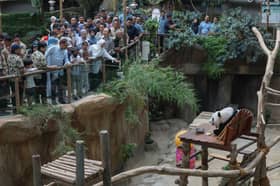 Selangor lulus peruntukan tambah baik kemudahan Zoo Negara