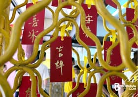 Tahun Naga diharap bawa kebahagiaan, rezeki yang bertambah - Nanta