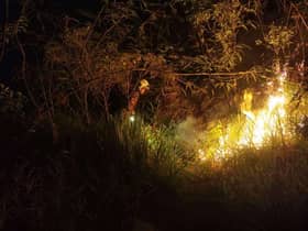 Hutan 0.8 hektar terbakar di Bukit Broga