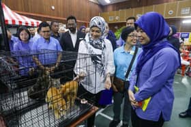 Tengku Permaisuri berkenan hadir program Potong Royong