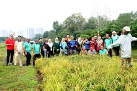 MPSepang laksana projek tanam padi dalam bandar, wujudkan suasana desa