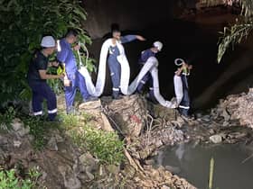 Luas clears dead fish from Sg Kundang following oil spill
