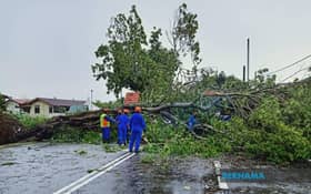 Fallen trees cause damage to 16 cars, 3 houses in KL