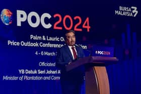 Malaysia to support palm oil producers’ compliance with EU deforestation law