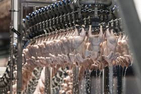 More halal poultry from Brazil cleared for export to Malaysia