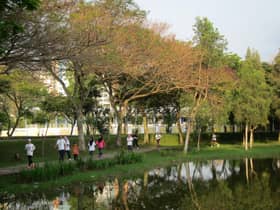 Selangor to hold Earth Day celebration on Sunday