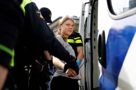 Climate activist Greta Thunberg detained twice at demonstration in The Hague