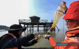 Ban on consuming PD mussles still in force, says authorities