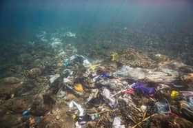 Up to 11 mln tons of plastic sitting on ocean floor: Study