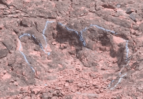 400-plus dinosaur footprints discovered in China, dating back 120 million years